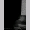100B8500.JPG