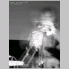 100B8240.JPG